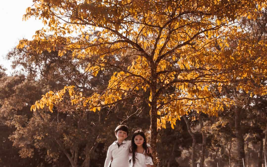 Ketogenic diet helps young Ecuadorian twins improve their schizophrenic symptoms