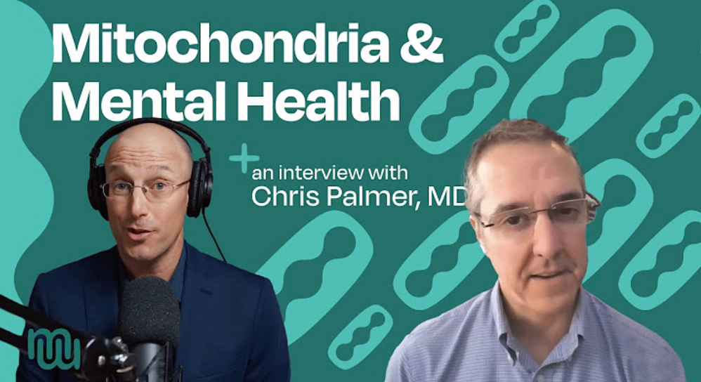 Brain Energy, Mitochondria and Mental Health: Dr. Chris Palmer presents The  Metabolic Mind (Baszucki Group) Bipolarcast Ep. 9 with host Bret Scher, MD