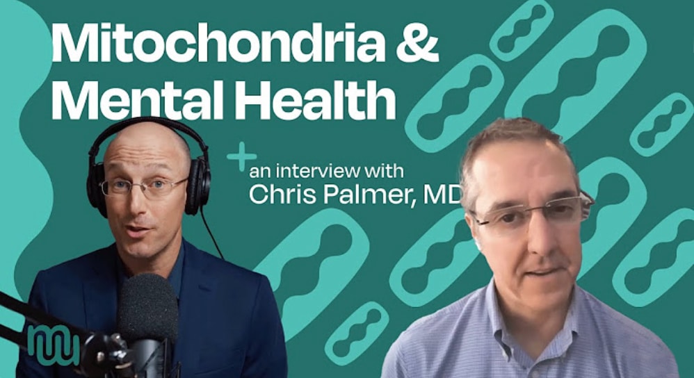 Brain Energy, Mitochondria and Mental Health: Dr. Chris Palmer presents The  Metabolic Mind (Baszucki Group) Bipolarcast Ep. 9 with host Bret Scher, MD